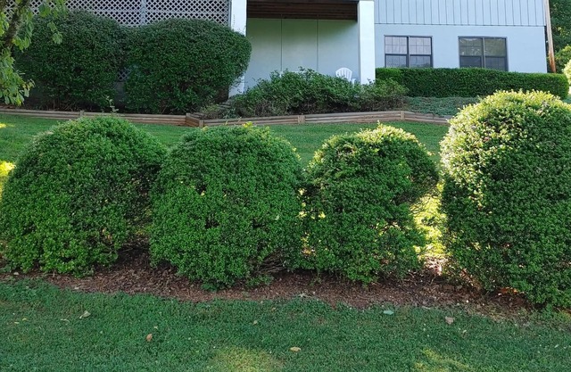 GOLFING GETAWAY RIGHT ON THE GREEN!! SLEEPS 4 ADULTS