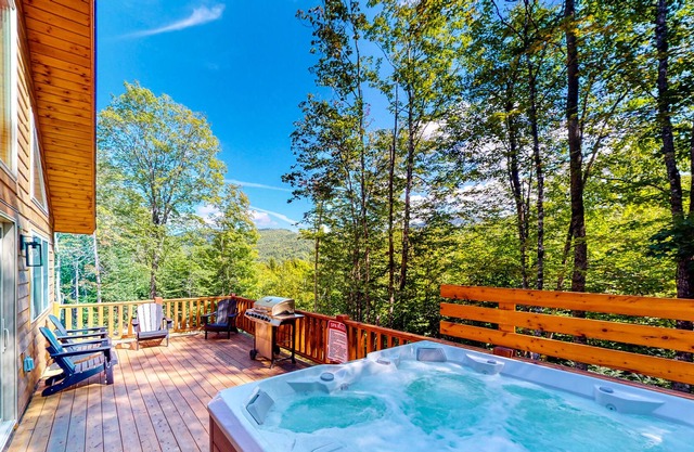 Gorgeous dog-friendly cabin with great view, deck, hot tub, & gas fireplace