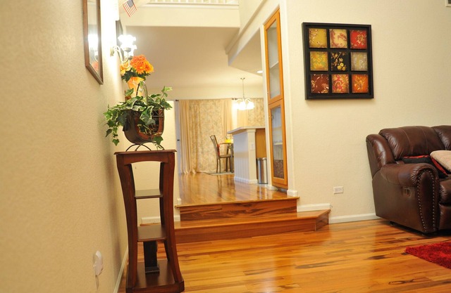 Gorgeous Family friendly house
