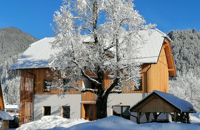 Gorski raj* - apartment with one bedroom