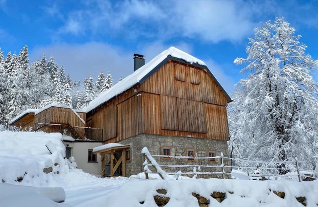 Gozdna vila Sredgora