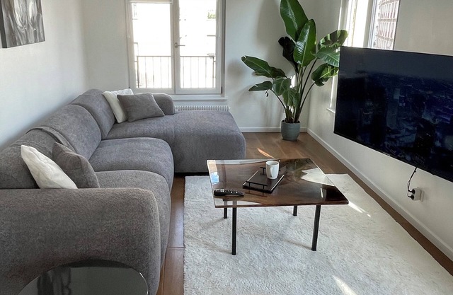 Grand appartement hyper centre
