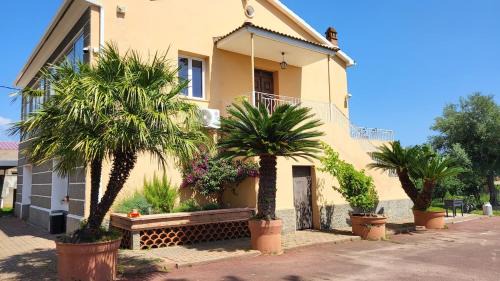 Grand appartement Vescovato entre mer et montagne