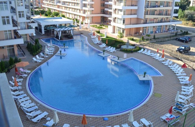 Grand Kamelia 