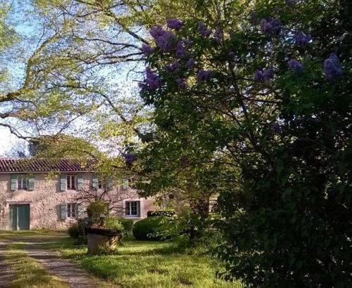 Grand Mas, 32 hectares, nature and get-togethers