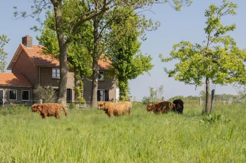 Grazelands - overnachten midden in de natuur