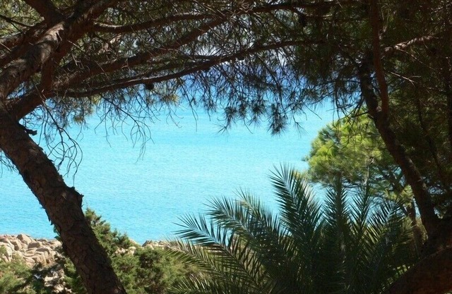 Great Apartment in a villa overlooking the sea with terrace and garden