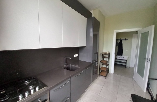 Great apartment in Bucharest close to park , clubs and mall .