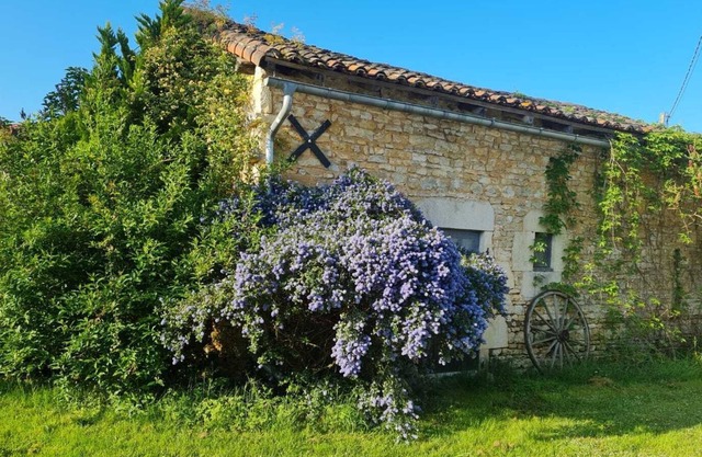 Great family rural escape in traditional stone gite.