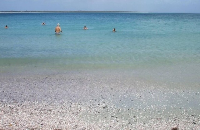 great Rangiputa Bach