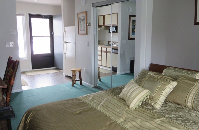 GREAT VIEW OF SLOPES & LIFTS--- 500 YARDS AWAY-- AS LO AS $119 A NITE