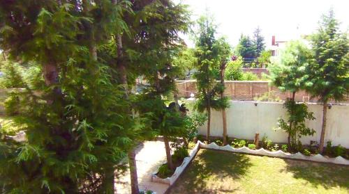Greenoriva - D2 - Greenery & Peace