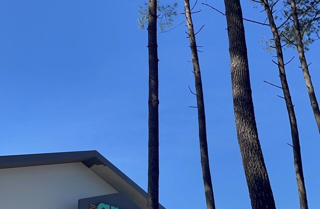 greet hotel Castets Coeur des Landes