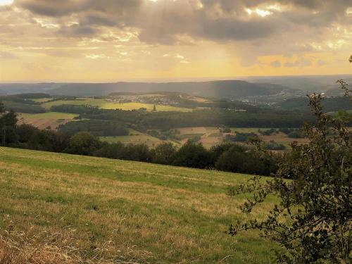 Große Ferienwohnung in Pellingen