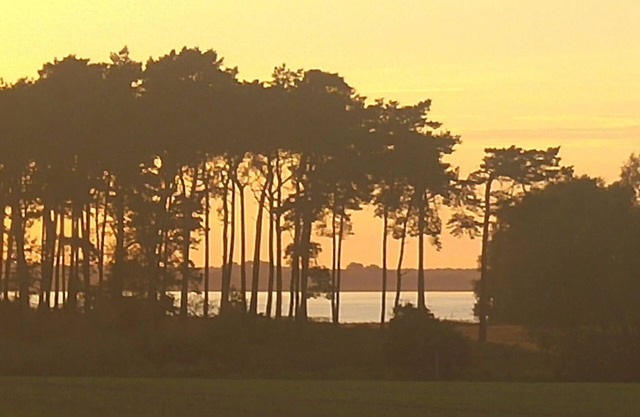 Große Freiheit im Schwedenhaus am Bodden
