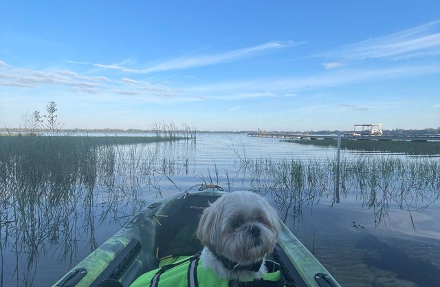 Grumpy Old Cabin! Dog Friendly Lake House with Kayaks! Close to GOLF!