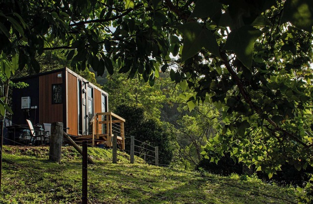 Guanaba Farm by Tiny Away