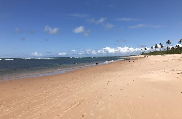 GUARAJUBA BEACH, PARADISE GROUNDING PARADISE BEACH BEACH03SUL101