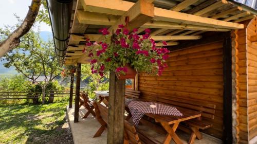 Guest House Kollata
