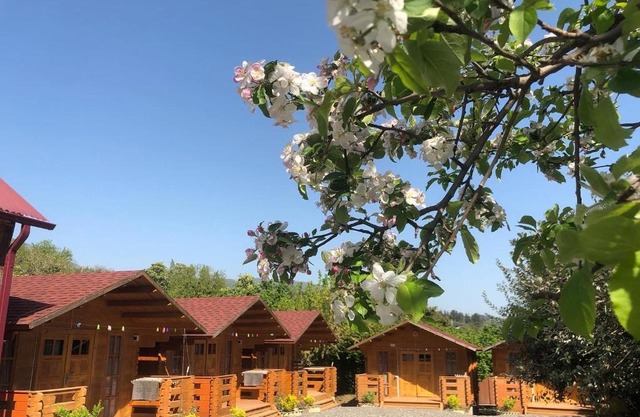 Guest House Lev