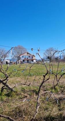 Guesthouse Gjegji