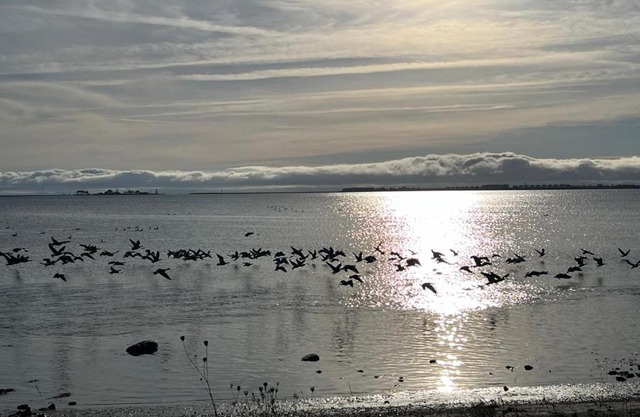 Häuschen mit privatem Schleizugang