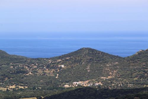 Hôtel Le Niobel - Hôtel de Charme