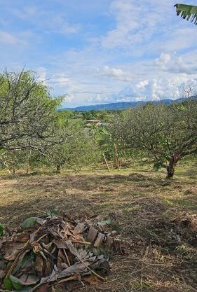 Hacienda tukuringa