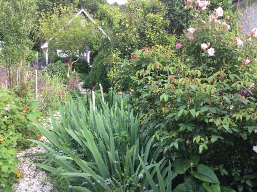 Hahei Kereru Cottage 