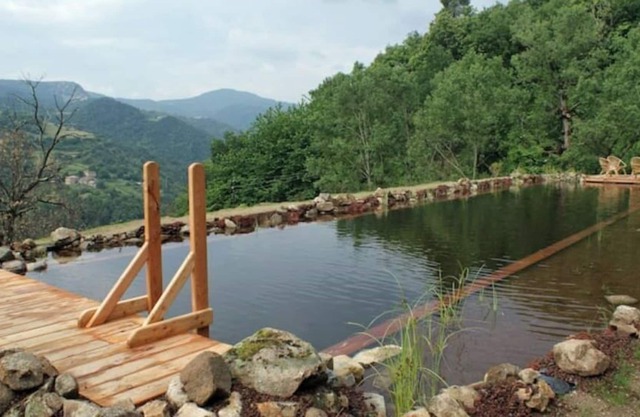 Hameau de Gîte Avec Piscine Naturelle "léo"