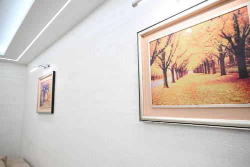Hanan Apartmani 2