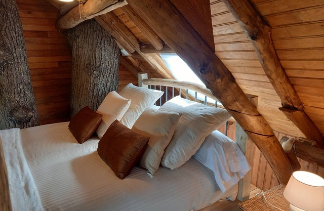 Hanging tree house