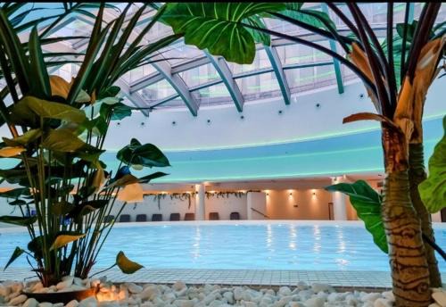 Hanza Tower Exclusive Pool & Sauna & Jacuzzi