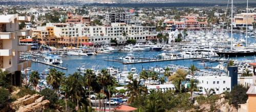 Harbour Junior suites