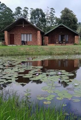 Harnham Mountain Lodge