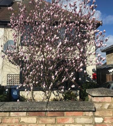 Harry's bed and breakfast