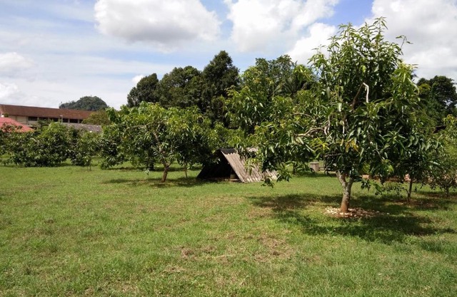 Harum Manis Country House