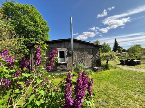 Haus 8 am Grimnitzsee mit Sauna