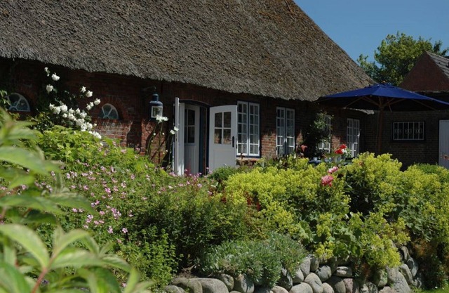 Haus Holländerdeich - fireplace, pesel, garden, terrace, washing machine, rural