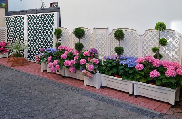 Haus Mooren Hotel Garni