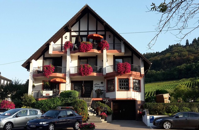 HAUS WEINGARTEN vacation apartment "Relax" directly on the vineyards