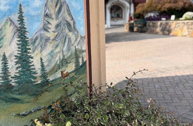 Haus Zug for 12 in Downtown Helen