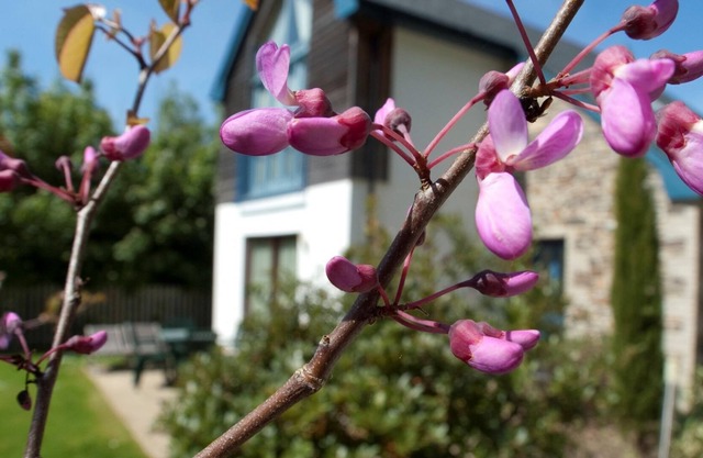 Haven - 5 star self catering cottage