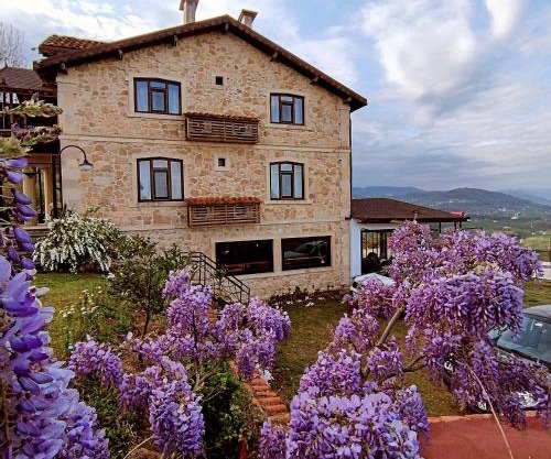 Hayat Oksijen Resort