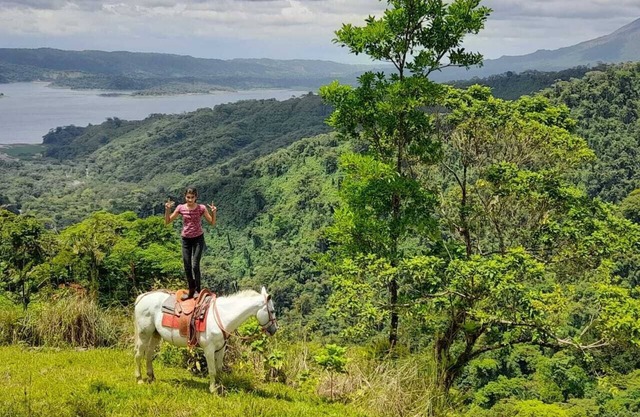 Heavens Farm is a zone of desconecction, nature and differents tours