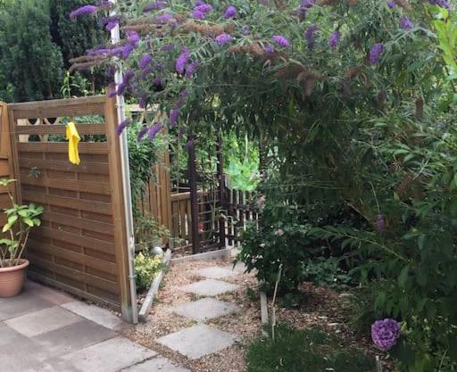 Heike‘s Möwennest City,Hafen+Kreuzfahrtterminal: