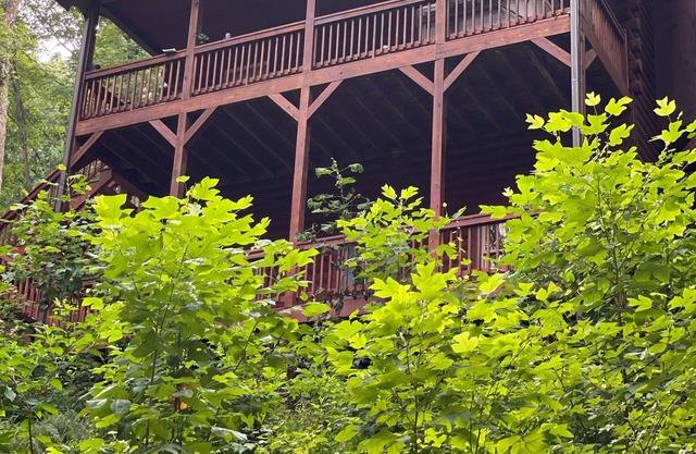 Helen GA Cabin with Hot Tub & Babbling Brook, Near Downtown-Alpenhaus Cabins