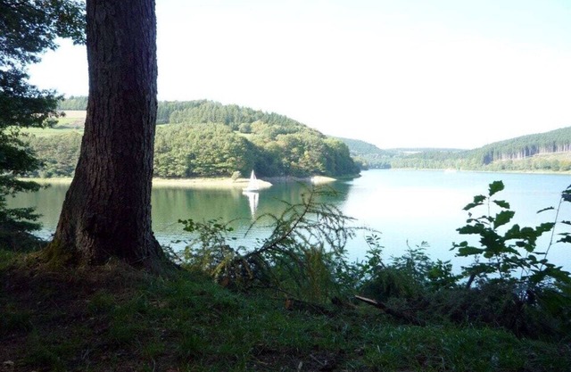 Helga Willing Comfortable holiday residence