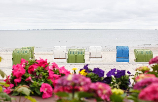 Here you sit in the first row