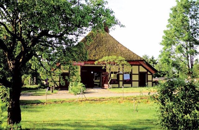 Here you will find the said "happiness in the corner".